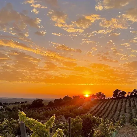 Bodegas Campestral 4* ארקוס דה לה פרונטרה